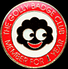One Year's Membership Badge